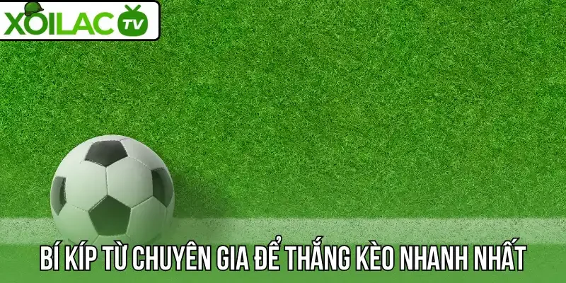 Bí kíp từ chuyên gia để thắng kèo nhanh nhất