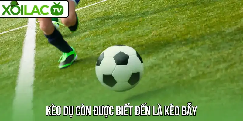 Kèo dụ còn được biết đến là kèo bẫy