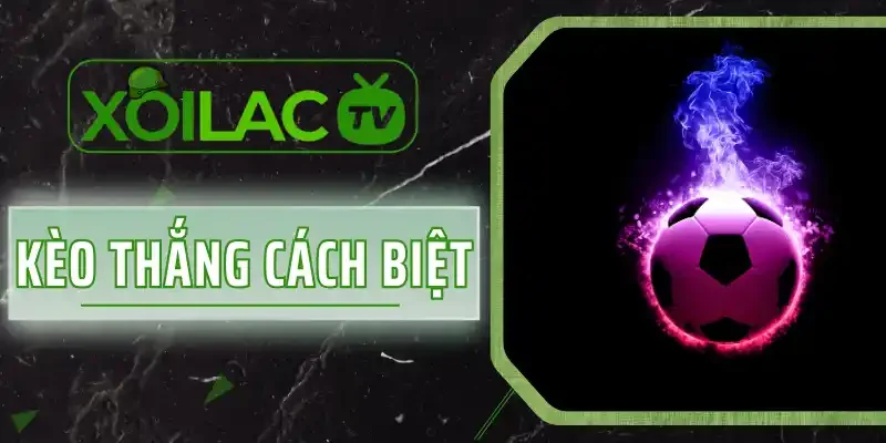 Kèo Thắng Cách Biệt - Hướng Dẫn Newbie Đọc Kèo Chi Tiết 