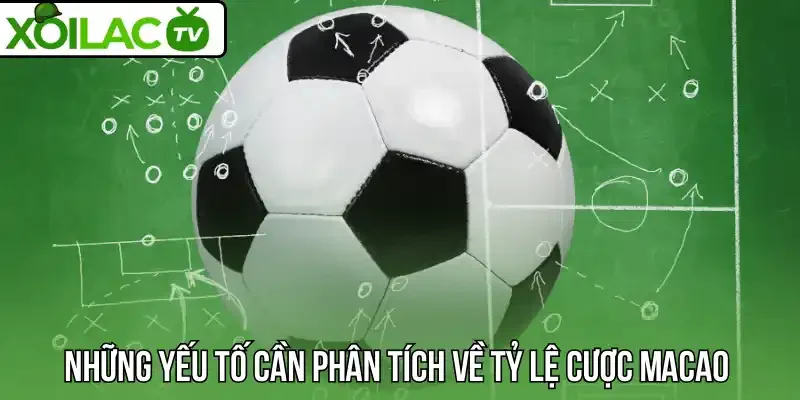 Những yếu tố cần phân tích về tỷ lệ cược Macao