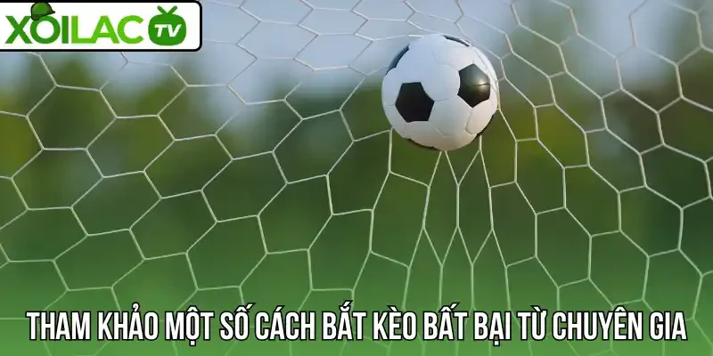 Tham khảo một số cách bắt kèo bất bại từ chuyên gia