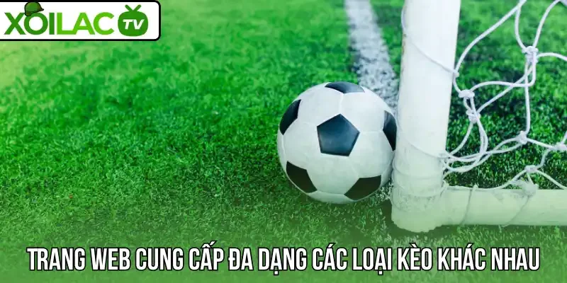 Trang web cung cấp đa dạng các loại kèo khác nhau