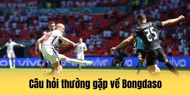 5 FAQs về bongdaso mà nhiều tân binh thắc mắc