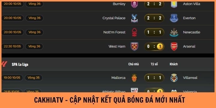 Khám phá các chức năng quan trọng trên nền tảng Cakhia