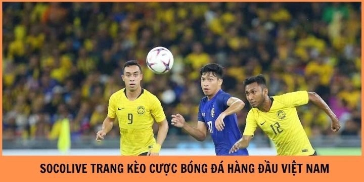 Giới thiệu tổng quan về trang thể thao socolive